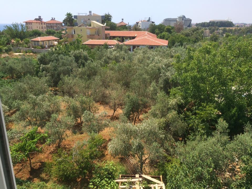 Esmeralda Apart Butik Otel Kızılot 外观 照片